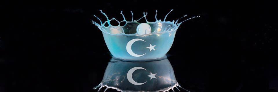 CaNFeDaVaTaNa. banner