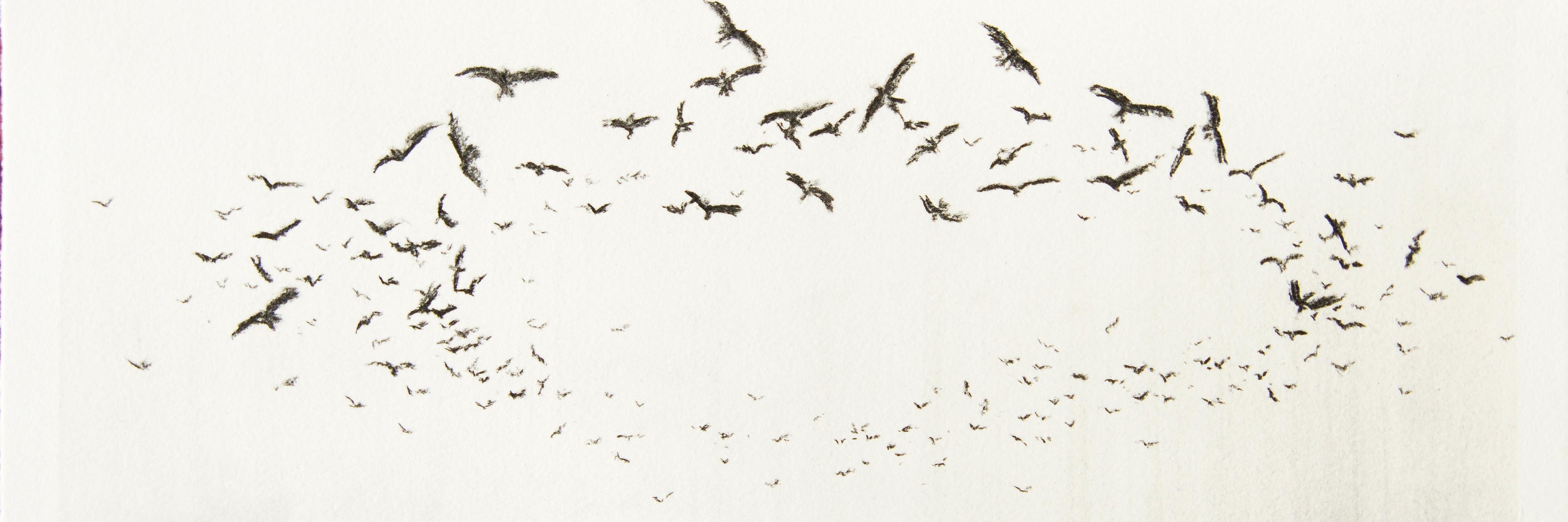 evanbens's profile banner image