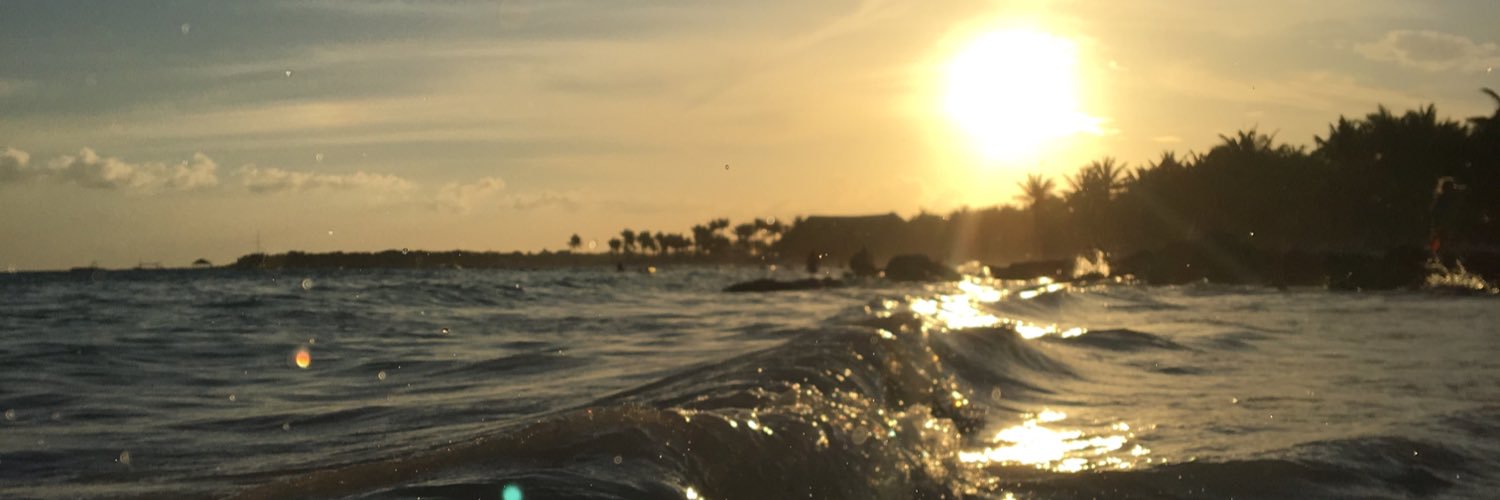 Hleucka's profile banner image