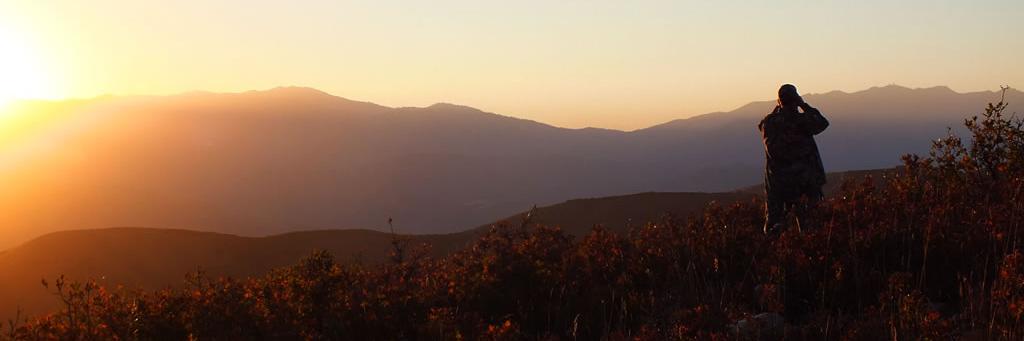 ScottishWildMan's profile banner image