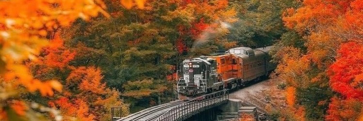 DJGARYNH's profile banner image