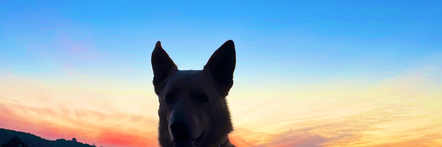 sleepylindz's profile banner image