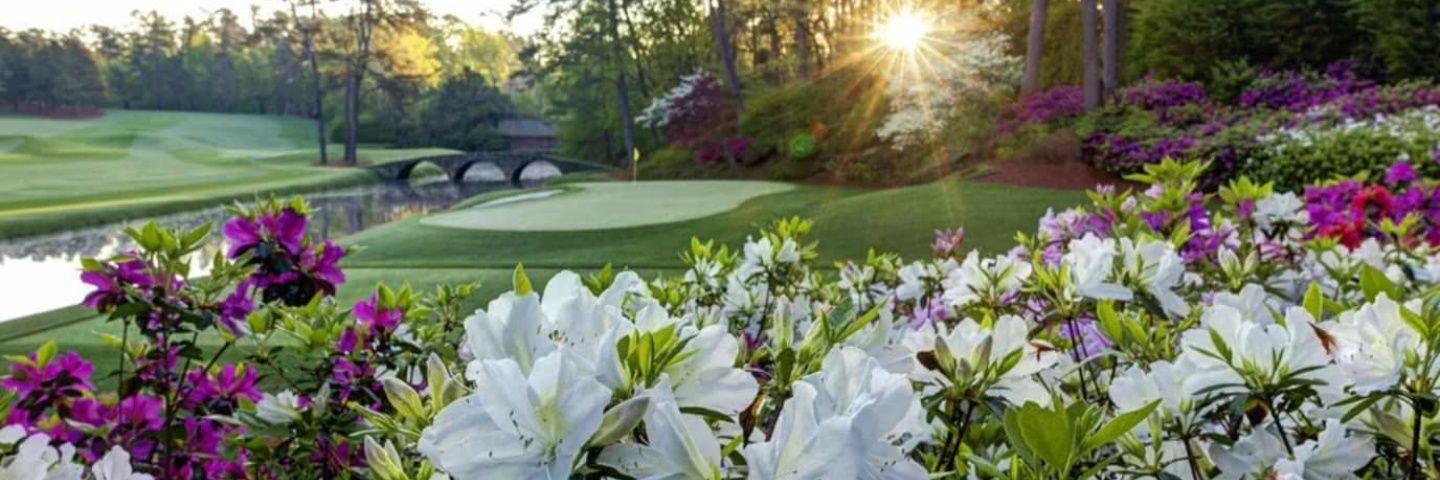 Kirbgolfer's profile banner image