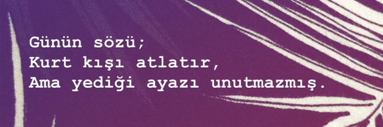 halimesultann's profile banner image