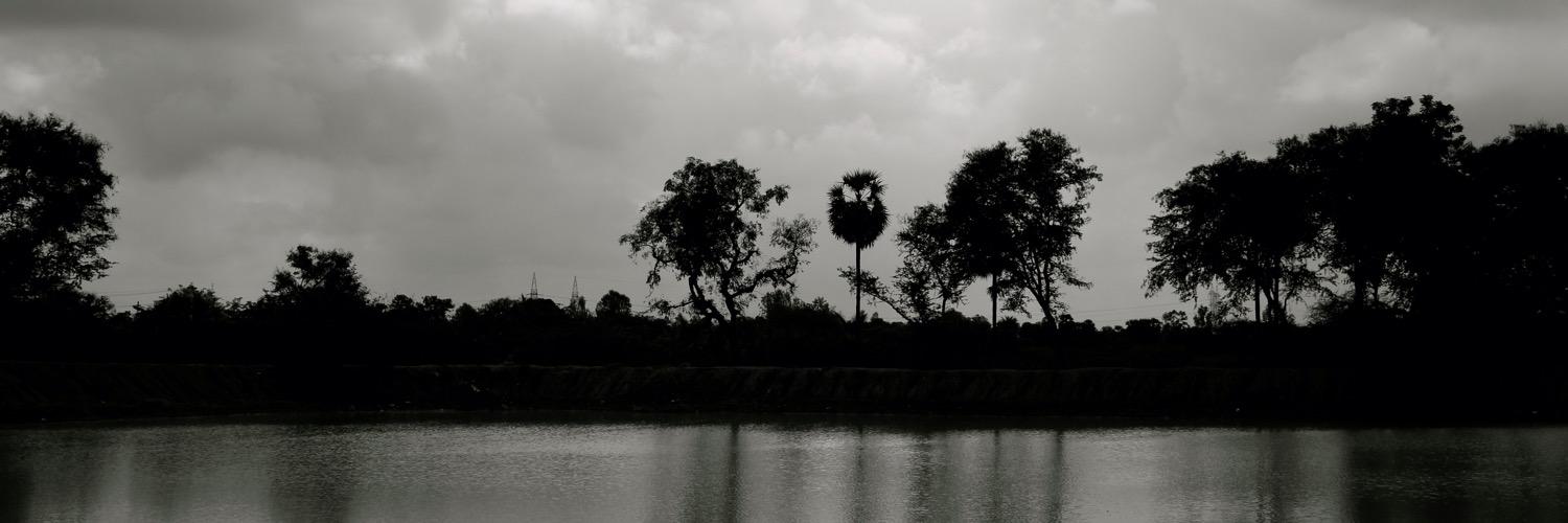simplyharini's profile banner image