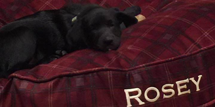 BooneDR's profile banner image