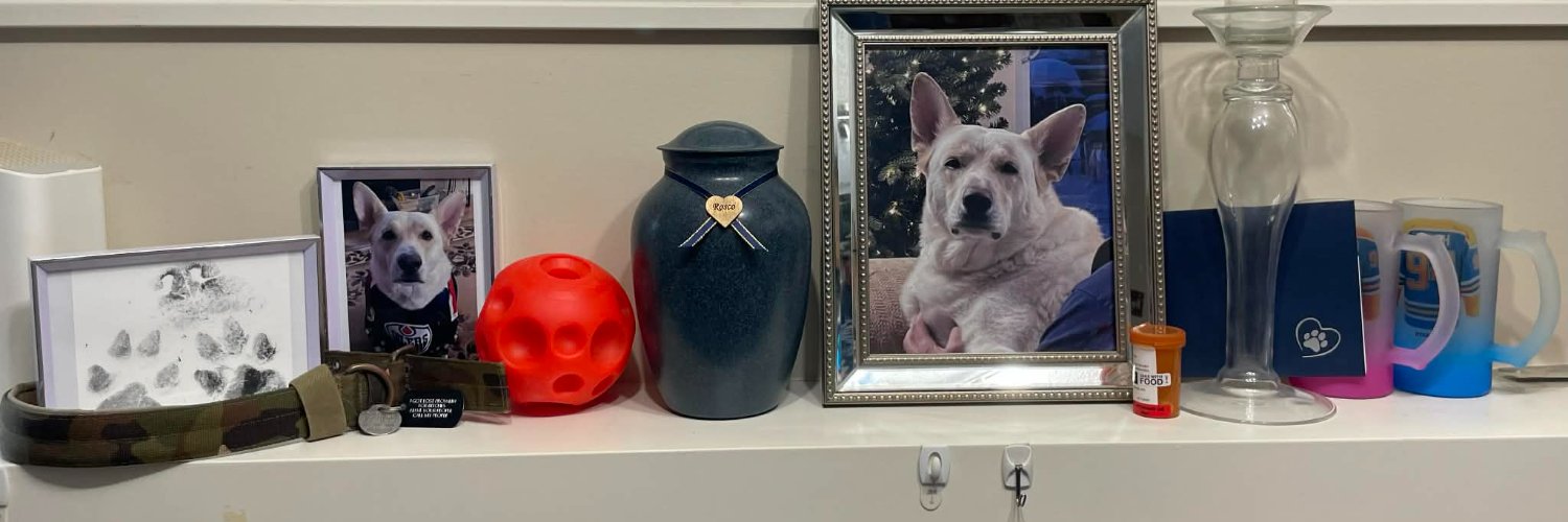 Shaybear98's profile banner image