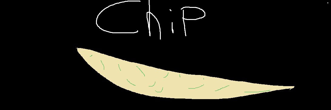 chip banner