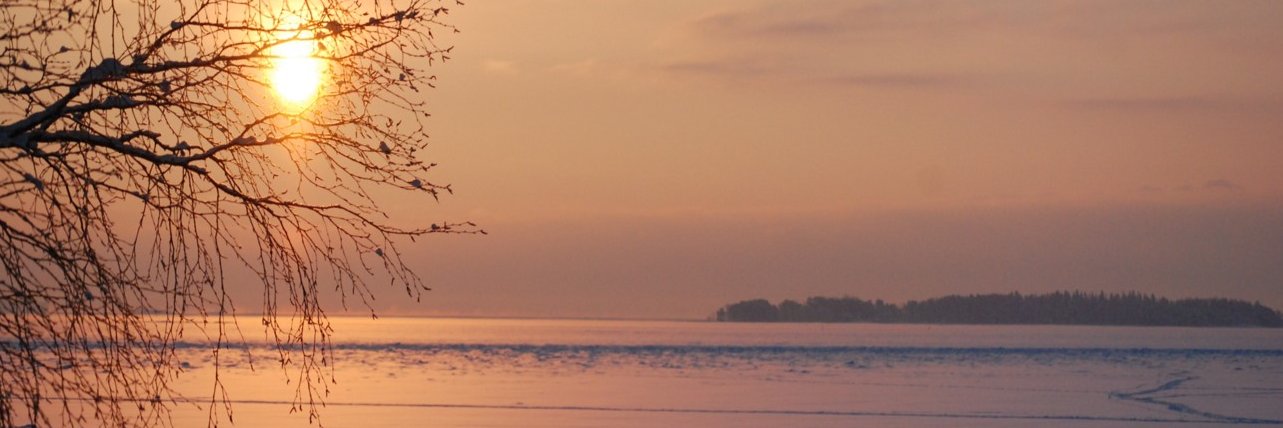 pirjosuo's profile banner image