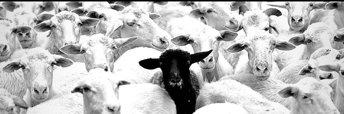 𝒟𝑜𝑜𝓂 banner