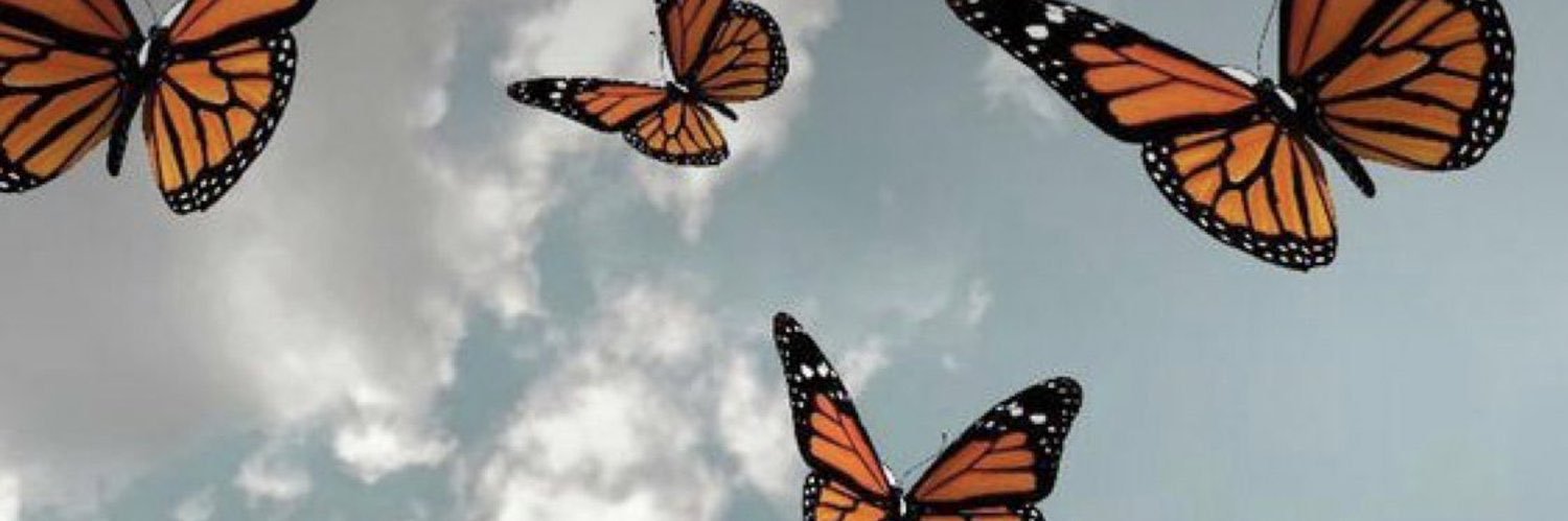maddiemfreeman's profile banner image