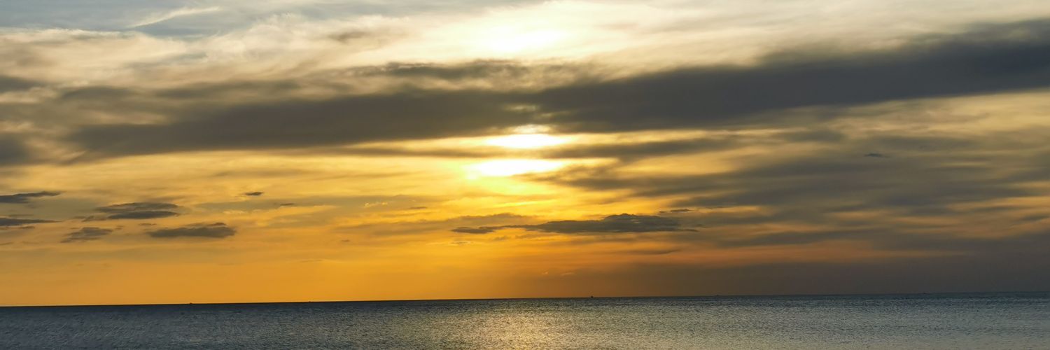 namchavi's profile banner image