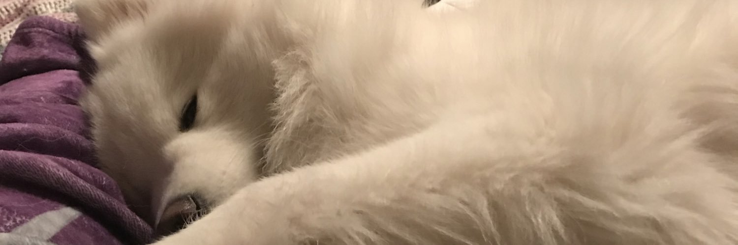 Spoucky's profile banner image