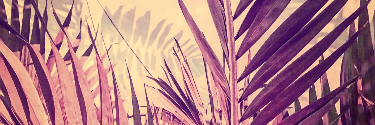SurubCui's profile banner image