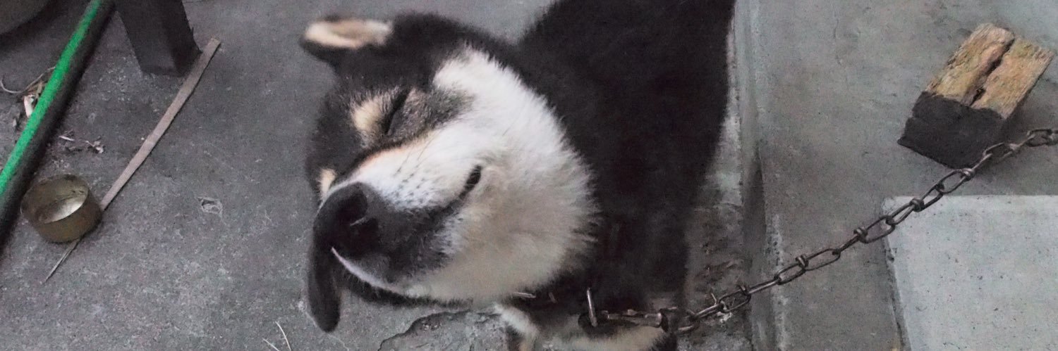 mskk___o's profile banner image