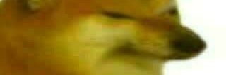 phat_yeeter's profile banner image