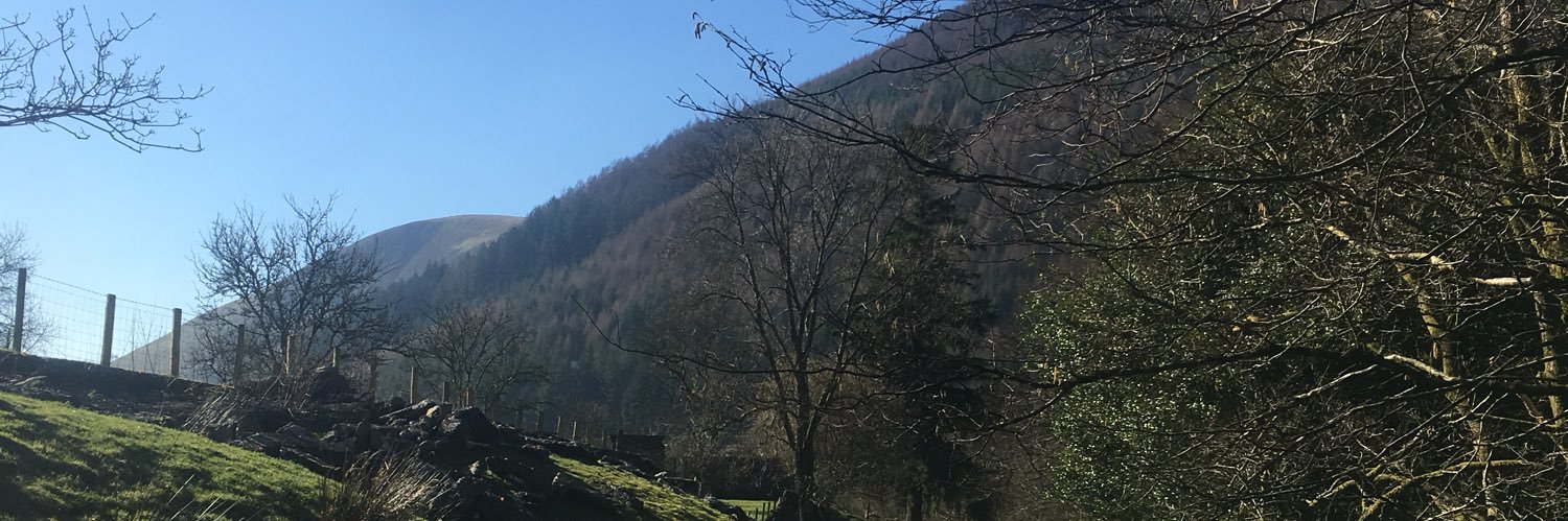 nharget's profile banner image