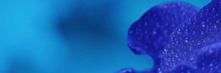 noor7018's profile banner image
