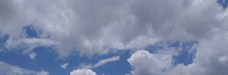 Darcileia's profile banner image