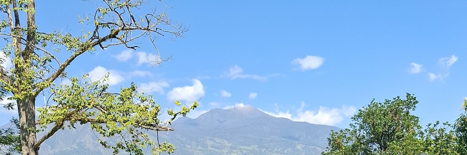 widiatiyildiz's profile banner image