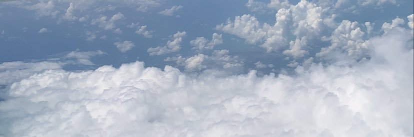 Mich banner