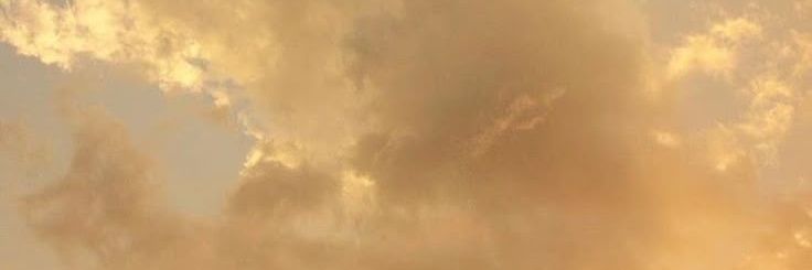 mftrash_'s profile banner image