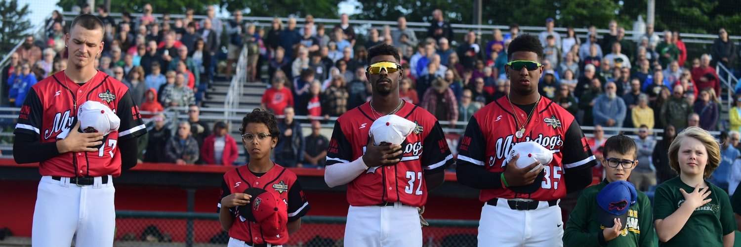 Batavia Daily News banner