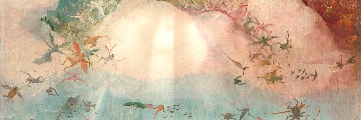 mmmggzzz's profile banner image