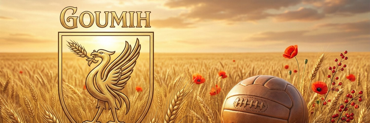 Liverpool banner