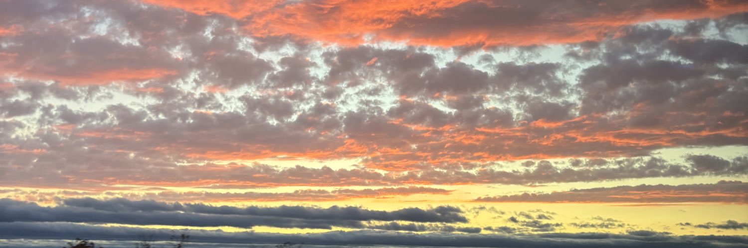 daanie_xo's profile banner image