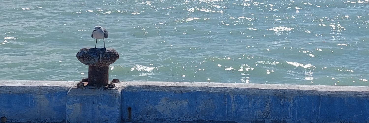 Montse199699's profile banner image