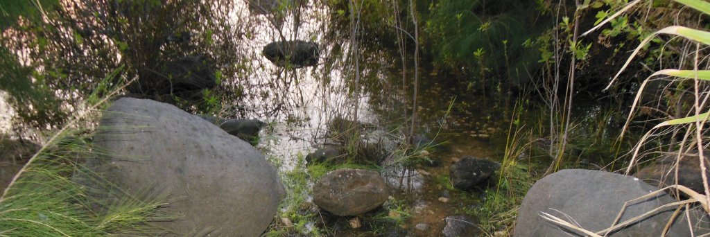 Jennifer J. Monteith, D.M. banner