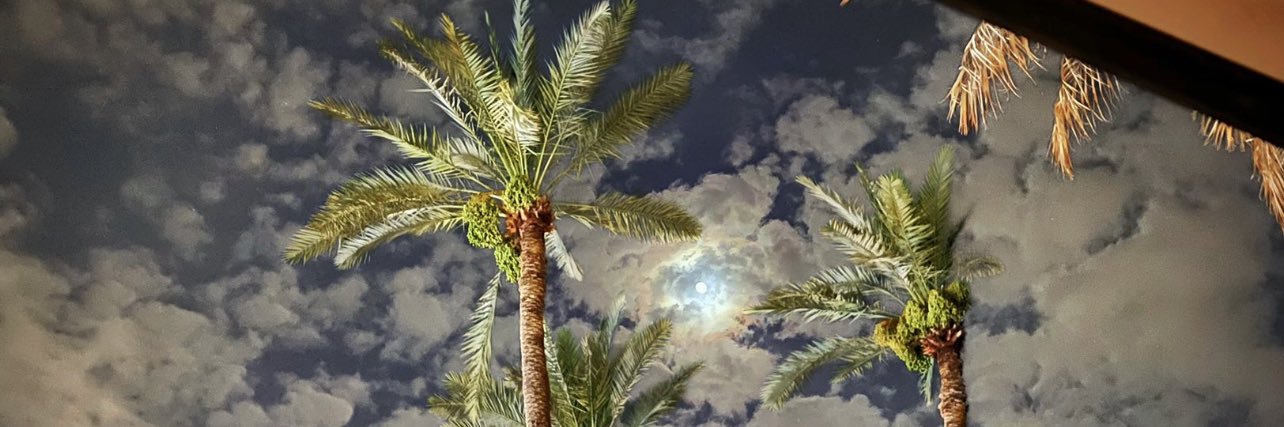 salelji's profile banner image