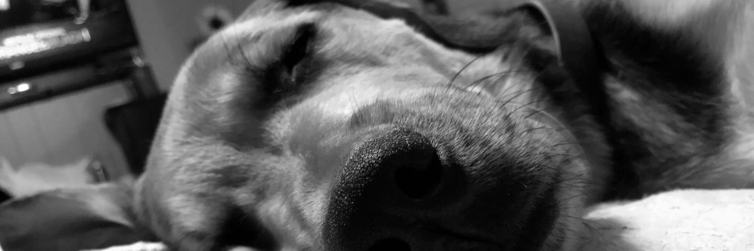 Taylor_Shea96's profile banner image