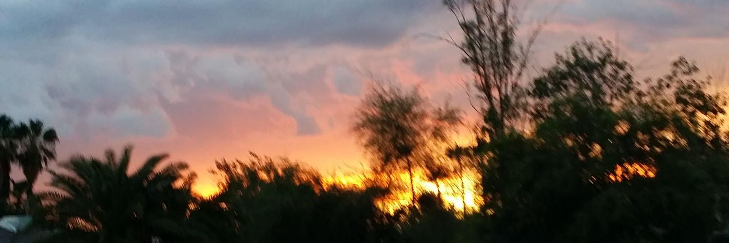 barbarasdc8's profile banner image