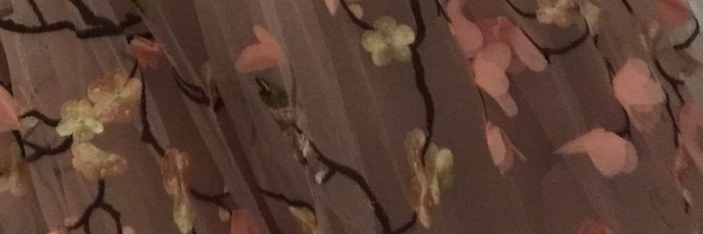 🦋👑ERIKACAVESPADILLA banner