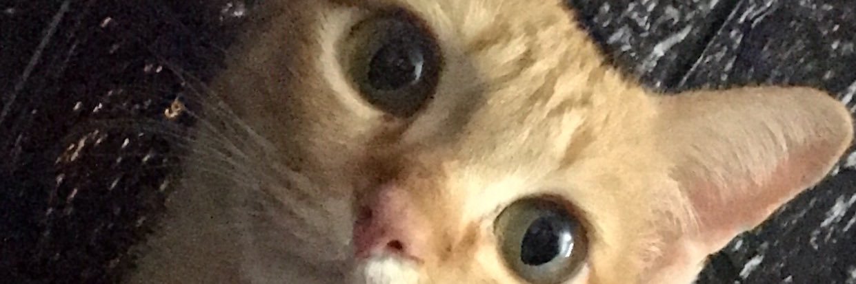 wnjaii's profile banner image