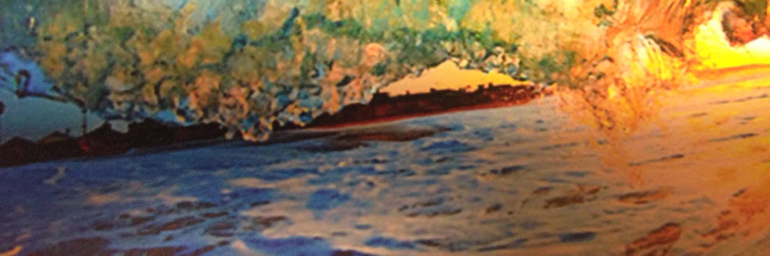 opbeachbabe's profile banner image