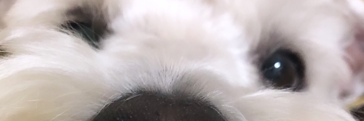 elvaosuna's profile banner image