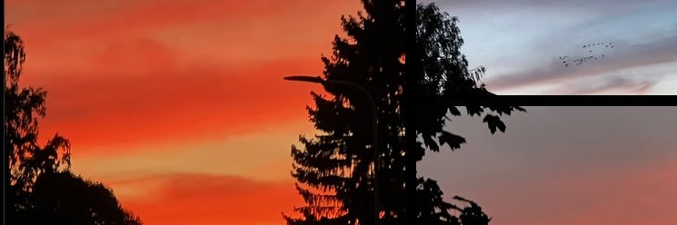 alexiroyle's profile banner image
