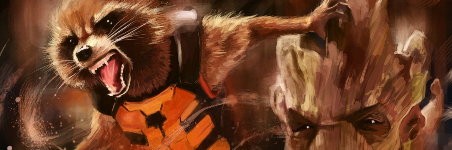 GalRacoon's profile banner image