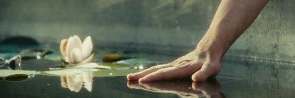 فاطمـه🌷 banner