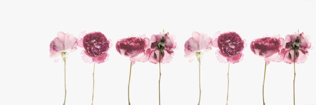 MarleyNance's profile banner image