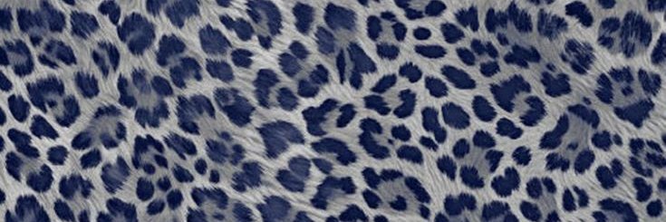 novaddxia's profile banner image