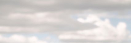 ANGIE SIGMON banner