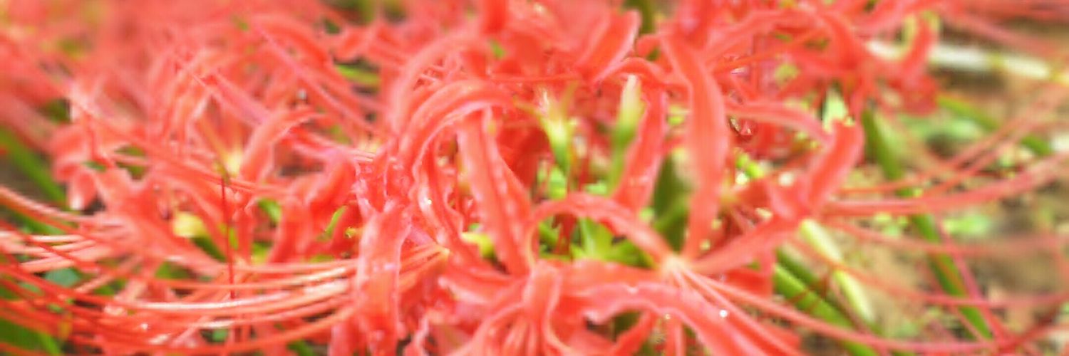 Ex__Aid_'s profile banner image