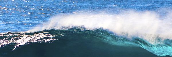 summer_mind's profile banner image