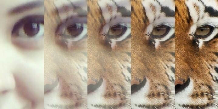 xavilu1's profile banner image