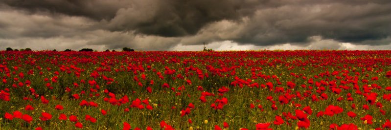 Victoria ✝️💜💋 banner