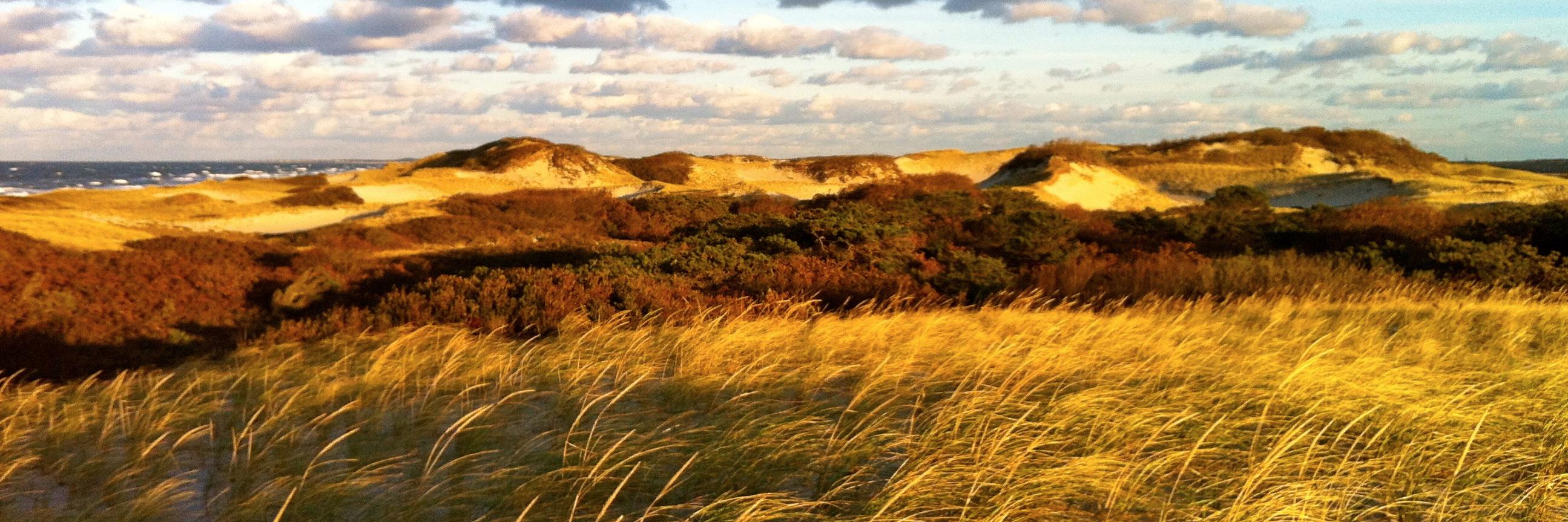 Acer_Landscape's profile banner image
